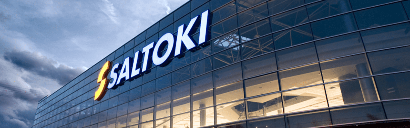 que-es-saltoki que-es-saltoki